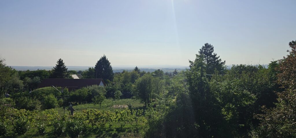 20250811_173556_resized