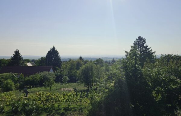 20250811_173556_resized