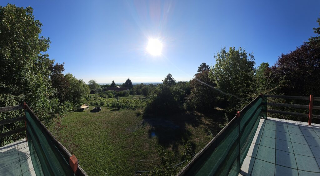 20250811_173613_resized